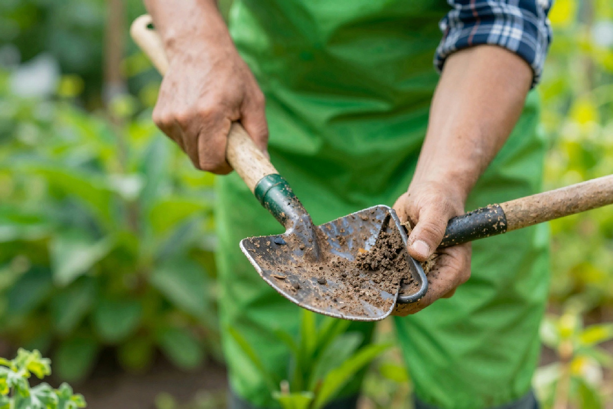 6 Pratiche di Giardinaggio Tradizionali da Abbandonare, Secondo gli Esperti