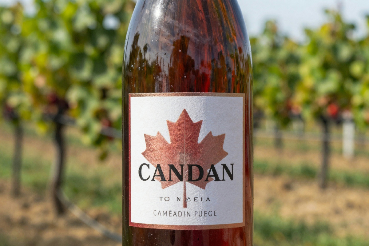 Grazie ai dazi di Trump, il vino canadese ha visto un incremento significativo delle vendite